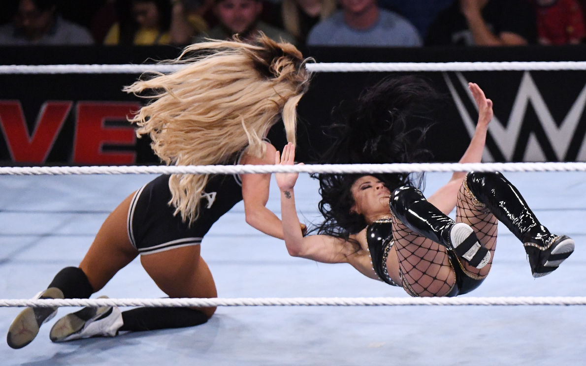 WWE at Reed Arena